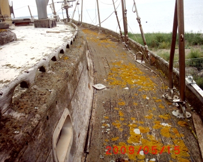 [Immagine: 20105229629_tuga Dalga.JPG]
